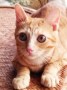 Felina 30.08.2022